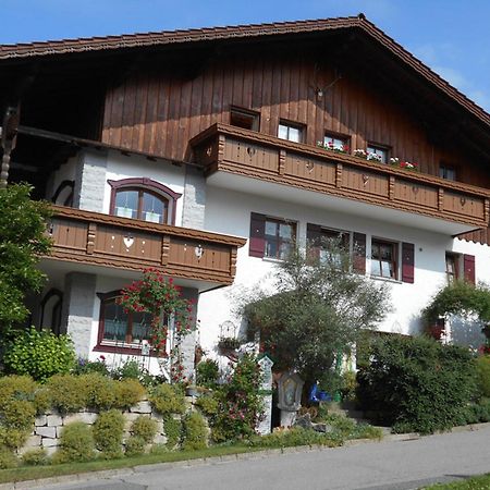 Ferienwohnung Arberblick Lam Exteriör bild