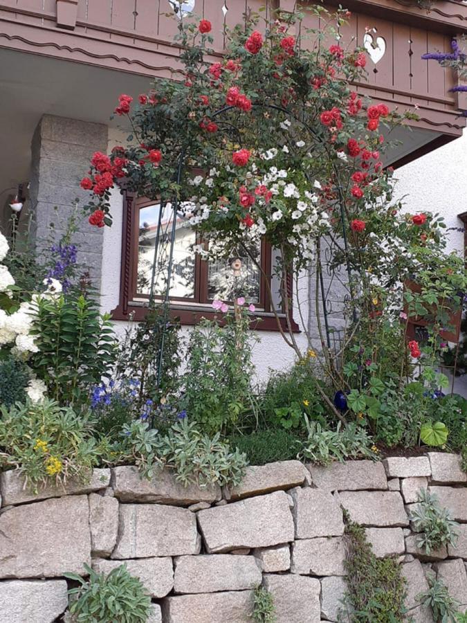Ferienwohnung Arberblick Lam Exteriör bild
